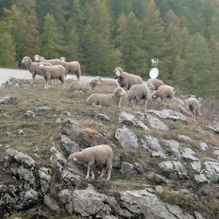 Residences De Melisa La Foux D'Allos Eksteriør billede